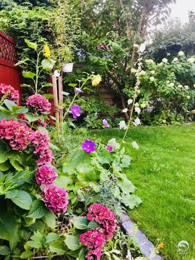 Красочные композиции: гортензия, подсолнухи, мальвы и космея