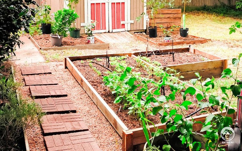 Мой цветочный сад и огород : два в одном