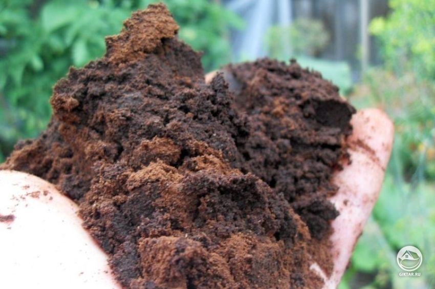 Как самостоятельно определить, какая почва в вашем саду