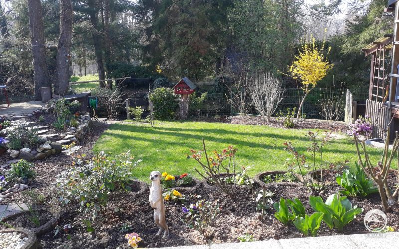 Утренний сад