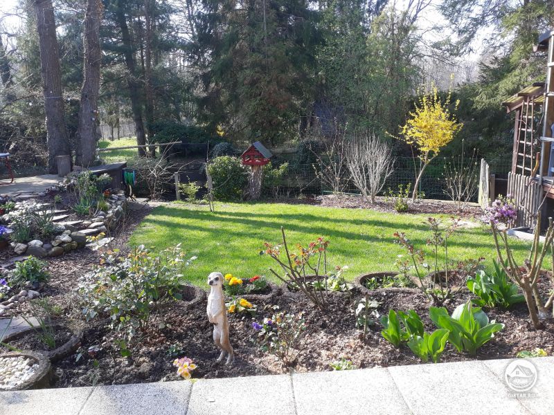 Утренний сад