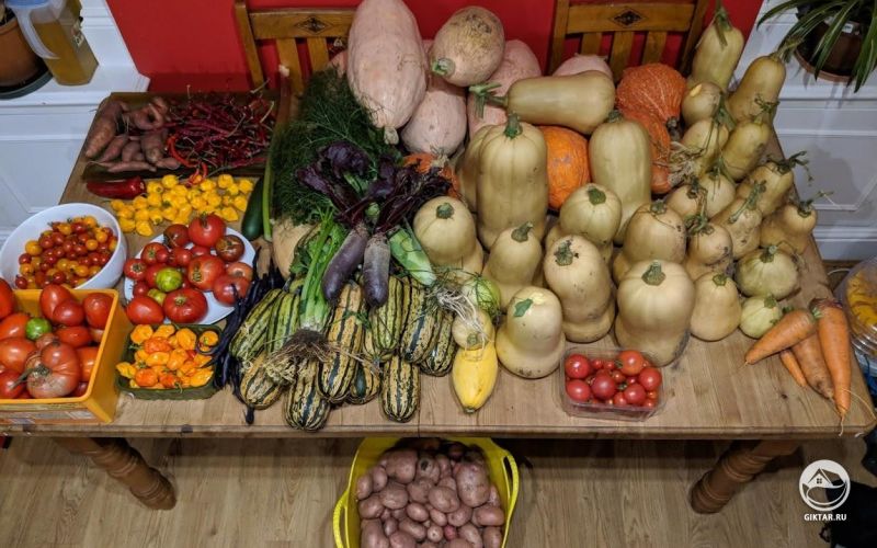 Время сбора урожая!