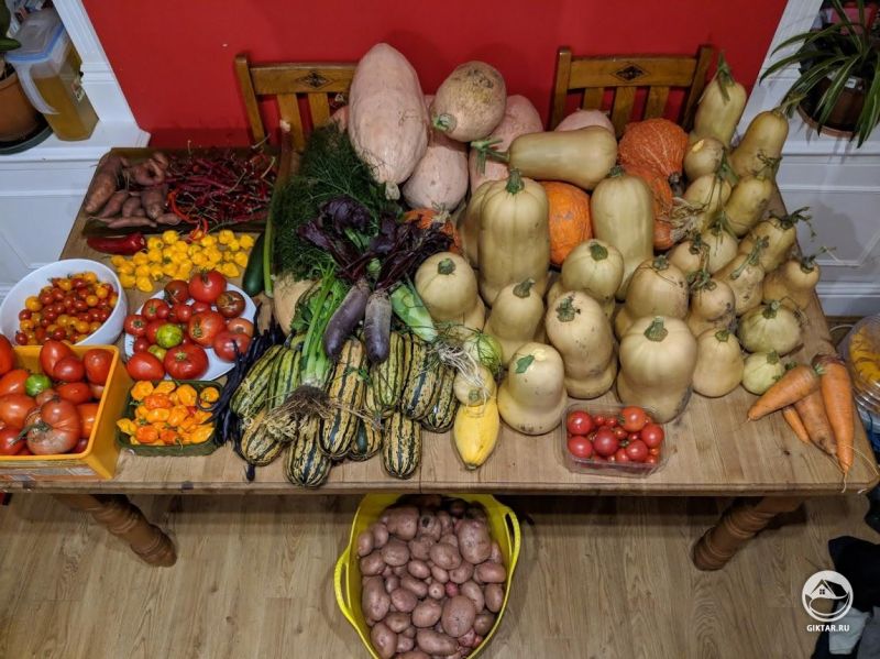 Время сбора урожая!