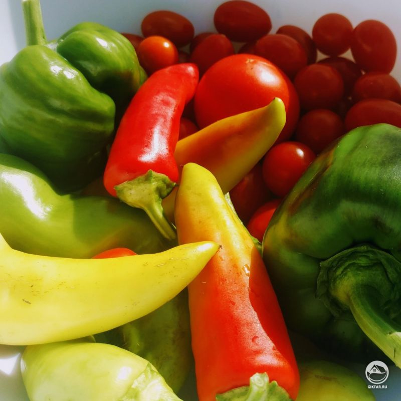 Мой скромный урожай перца и черри
