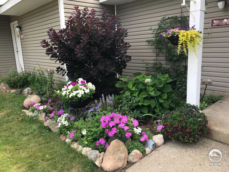 Часть сада моей 74-летней бабушки