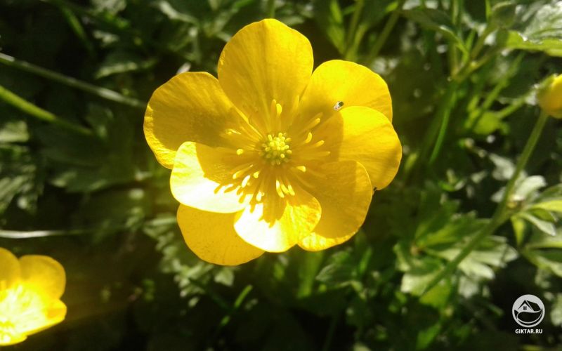 Одно слово: красивый.