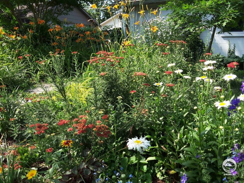 Мне нравятся растения, которые легко выращивать...