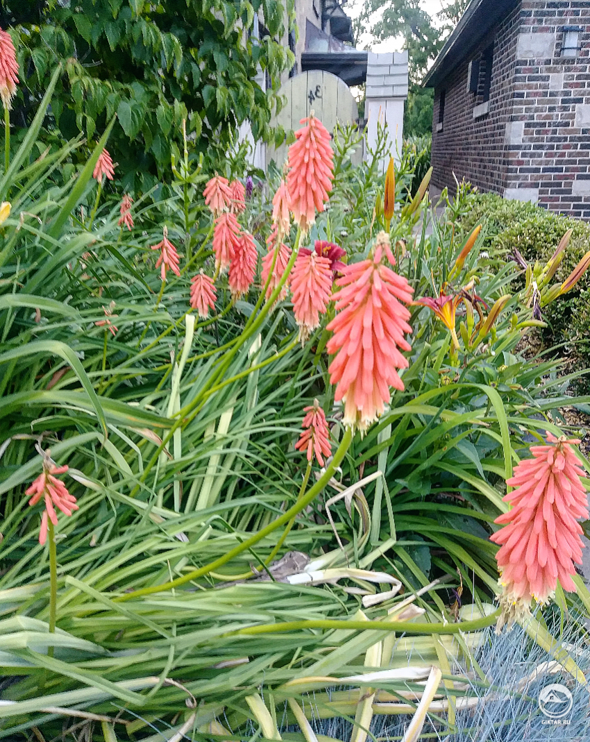 Как эта красота называется?