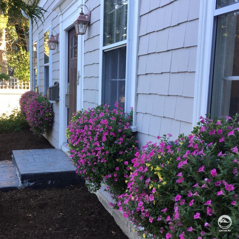 Как мне нравится идея цветочных ящиков на окнах