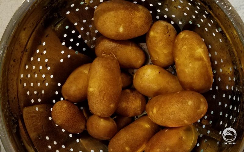 Первый раз выращиваю картофель! Я в восторге от того, что можно собрать их и приготовить!