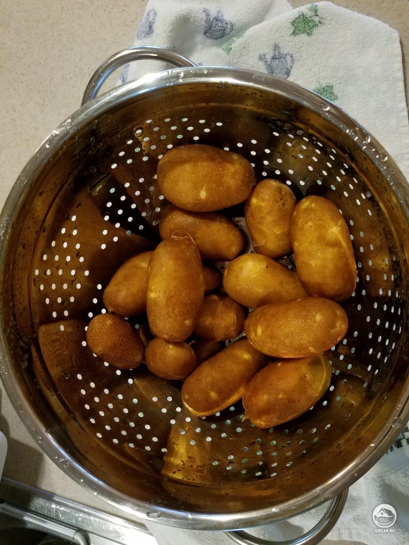 Первый раз выращиваю картофель! Я в восторге от того, что можно собрать их и приготовить!
