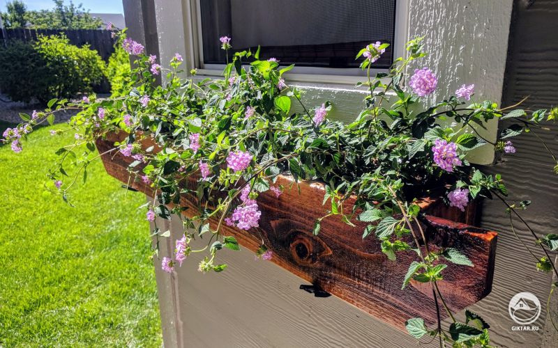 Цветочный ящик под окном
