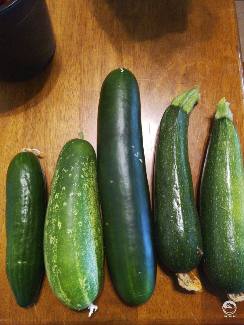 Огурцы и кабачки с моего огорода