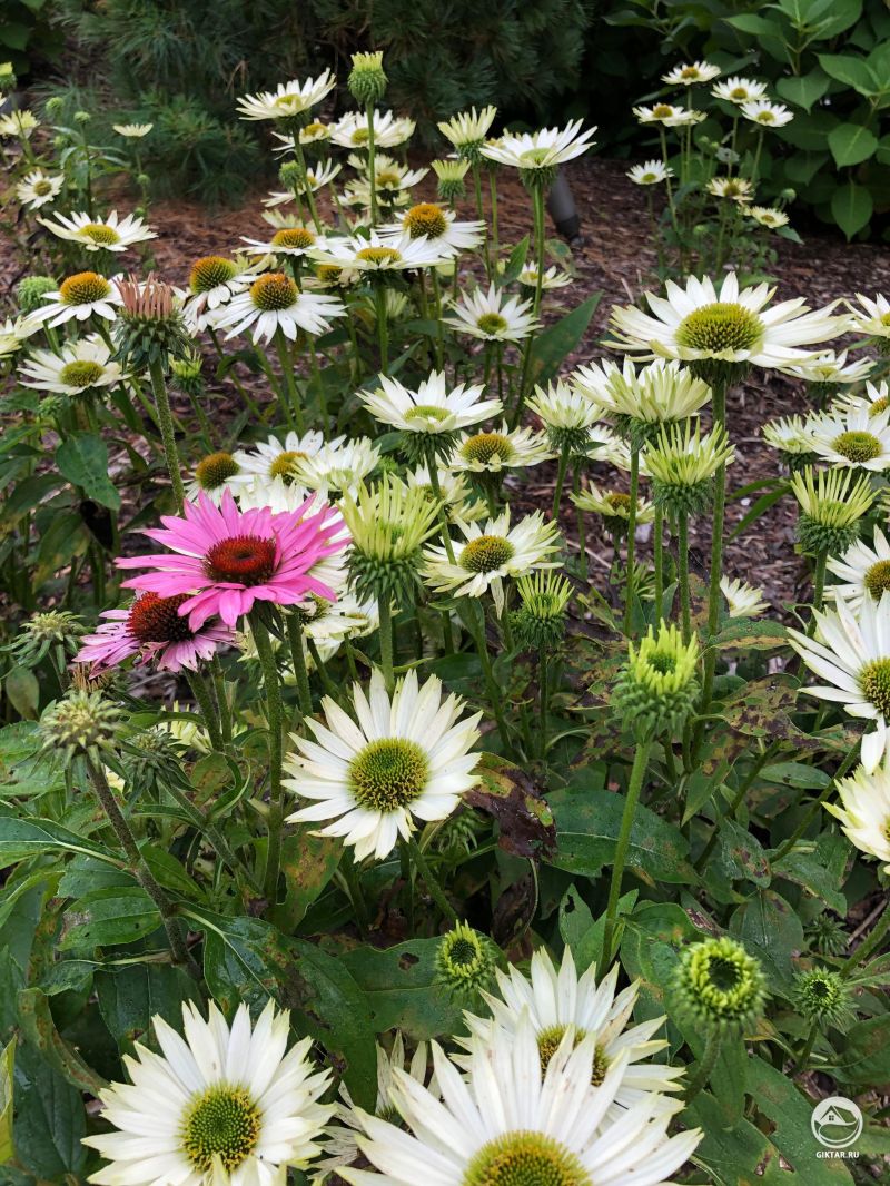 Это нормально - быть непохожим на других