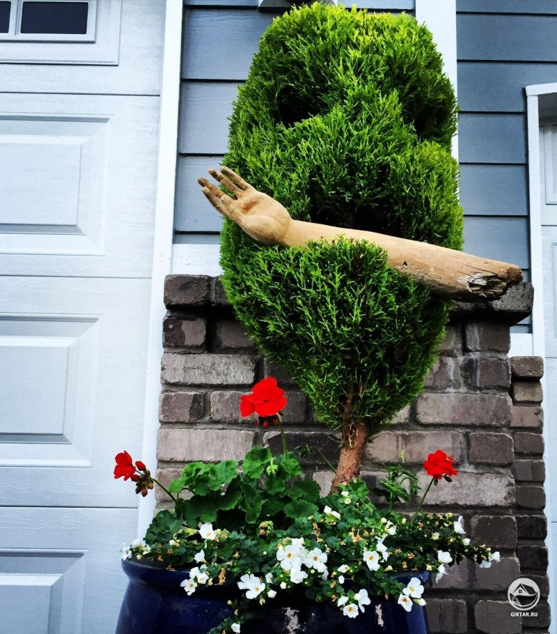 Злой куст и рука-коряги. У меня три таких Мои соседи думают, что я чудик.