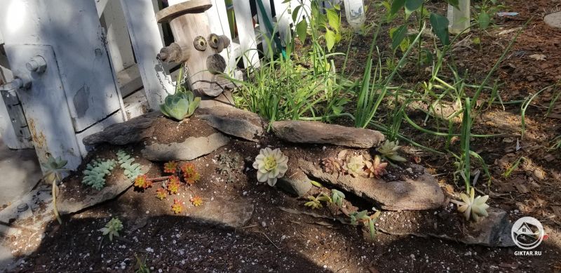 Поставили вчера украшения в своем саду.