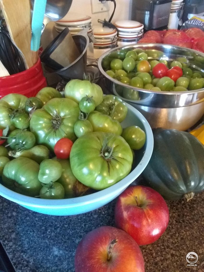 Что сделать из зеленых томатов?