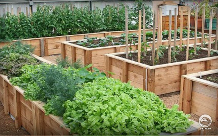 Огород, удобный для пожилых людей
