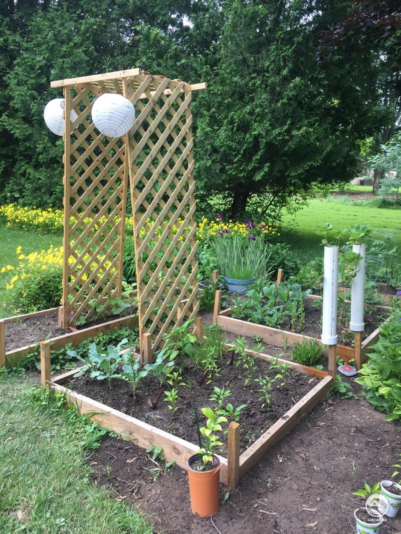 Люблю быть домовладельцем. Я наконец-то построил свой сад мечты!